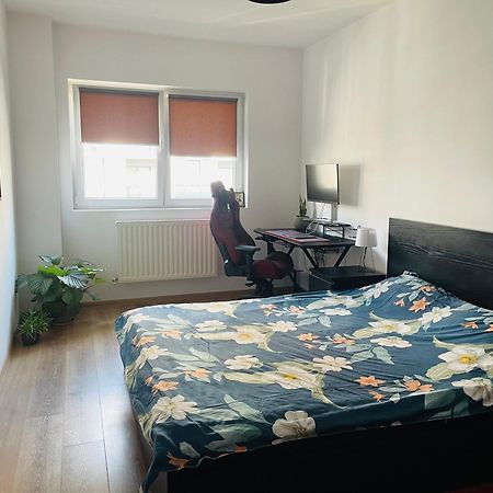 Cozy Apartment With Free Parking クルージュ＝ナポカ エクステリア 写真
